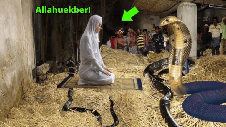 Ne Yaptigini Kesinlikle Gormelisiniz