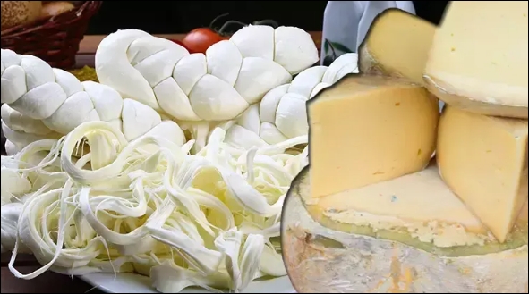 SAĞLIK BAKANLIĞI UYARDI HER EVDE VAR ÇÖPE ATIN