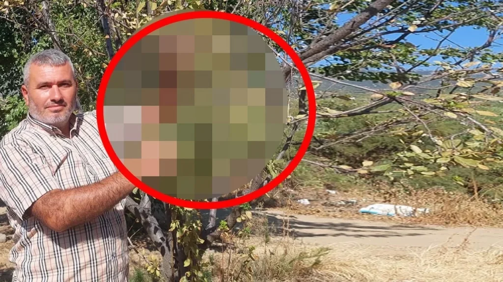 Köydeki ağacına bakmaya giden vatandaş