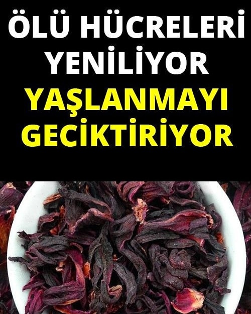 Yaşlanmayı Geçiktiriyor.