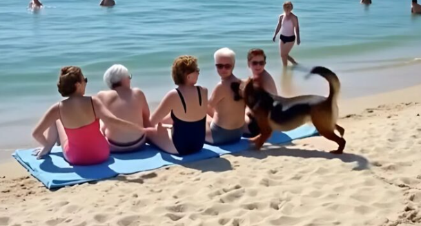 Arkadaşlar sahilde dinlenirken