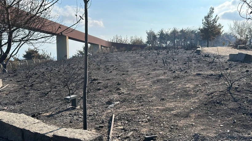 Bakın Kimin yeğeni çıktı