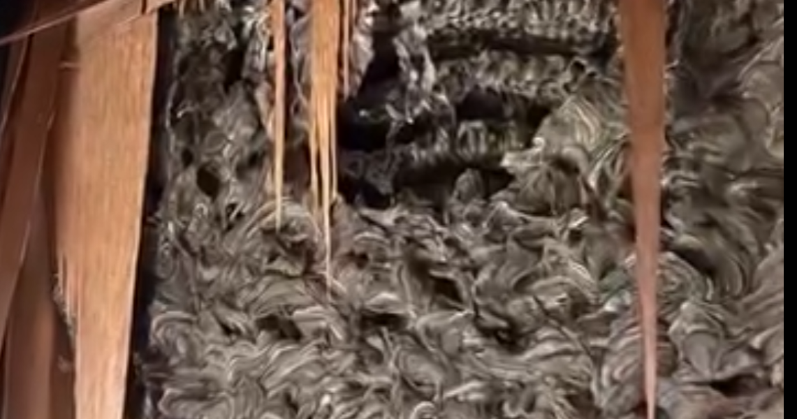 Son zamanlarda evimizde garip şeyler oluyordu