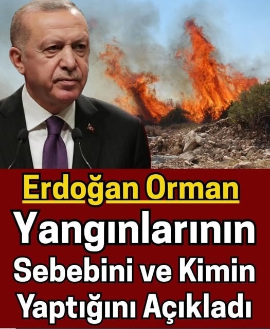 orman yangınlarıyla ilgili konuştu.