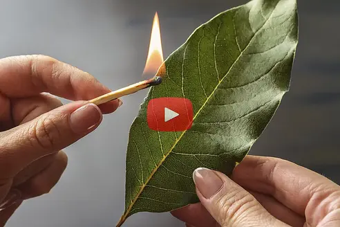 Böyle baba olmaz olsun