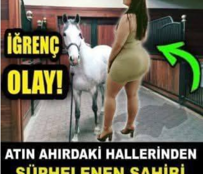 Atın ahırdaki halleri