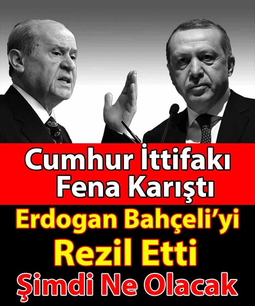 Erdoğan Bahçeli’yi Bakın