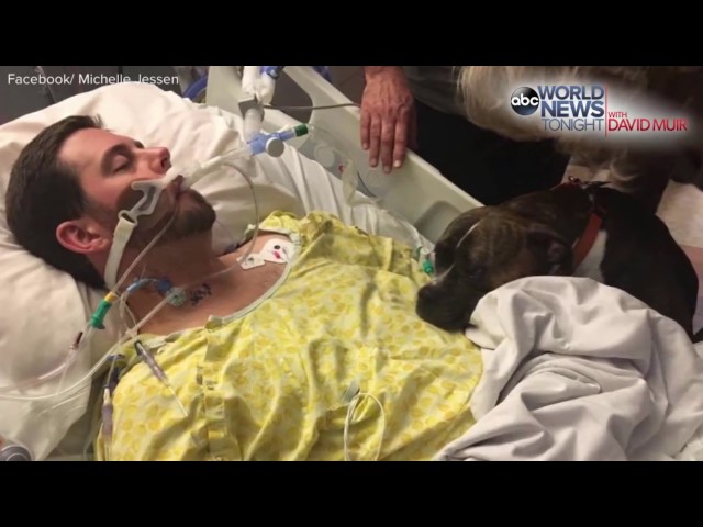 Köpeği içeri aldılar..