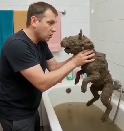 Küçük köpeği kurtardığını sandı