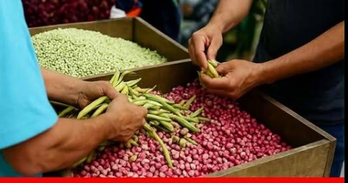 YILLARCA TÜKETTİK MEĞERSE KA’NSER YAPIYORMUŞ.