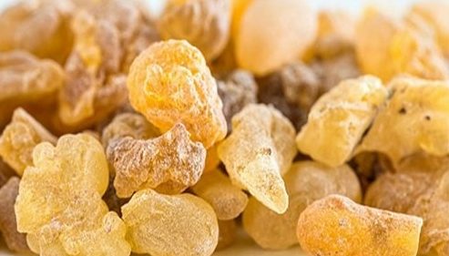 hafızaya faydası saymakla bitmiyor