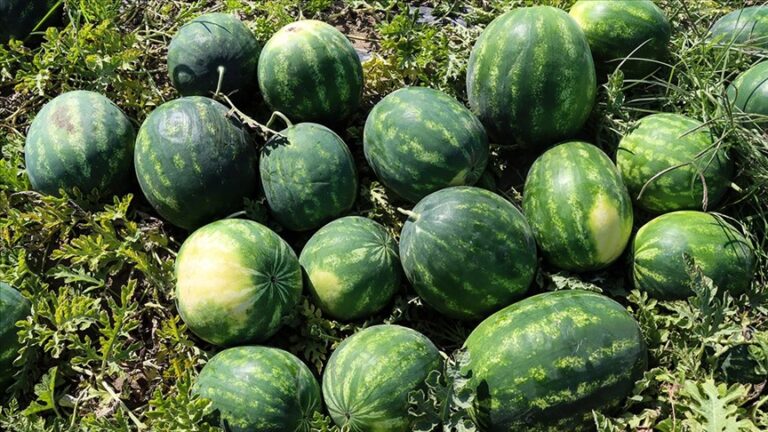 hamile karısını kimsenin bir şeyden