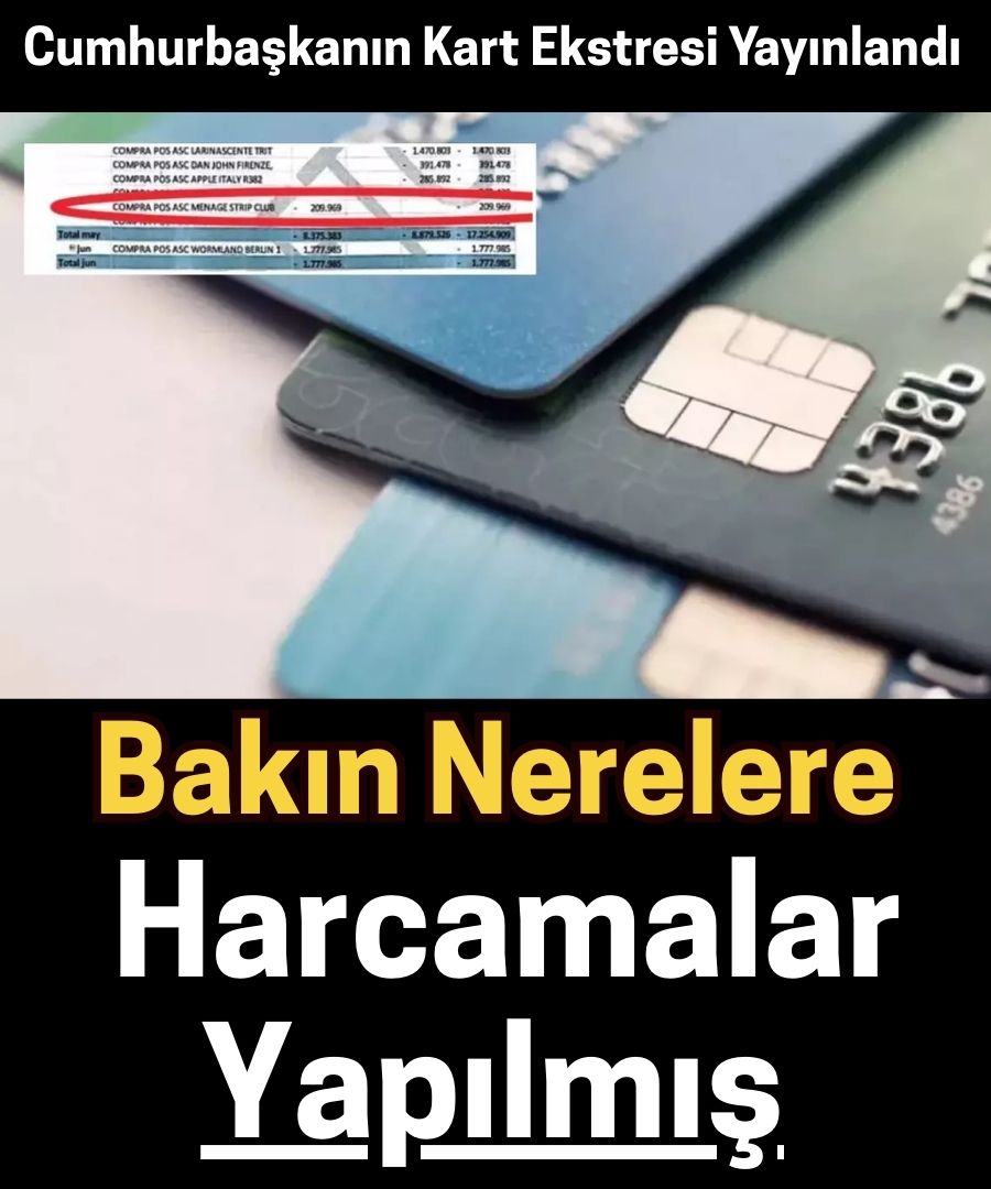 Bakın nelere harcama yapılmış