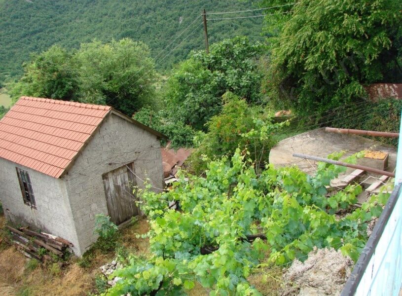 Ben köyün en güzel kızıydım
