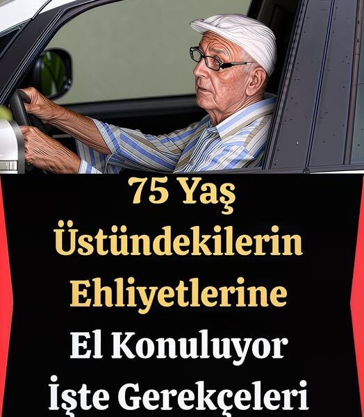 Ehliyetler gidiyor