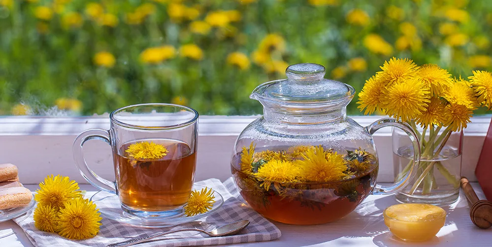 Karaciğer ve Böbrekleri Temizler