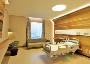 Vahşi bir aygırın paslı zincirlerini kıran bir veteriner