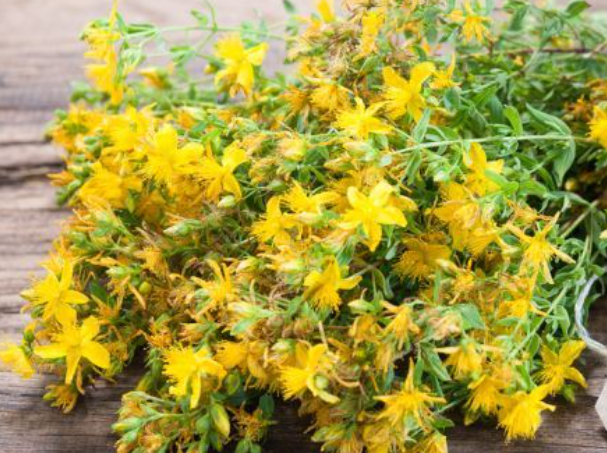 kantaron yaginin faydalarina inanamayacaksınız..