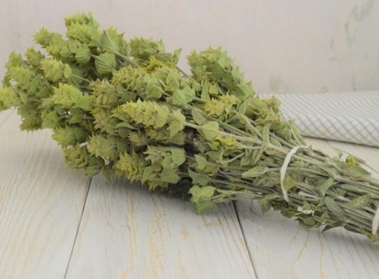 Abd’li doktorlar ortaya çıkardı.