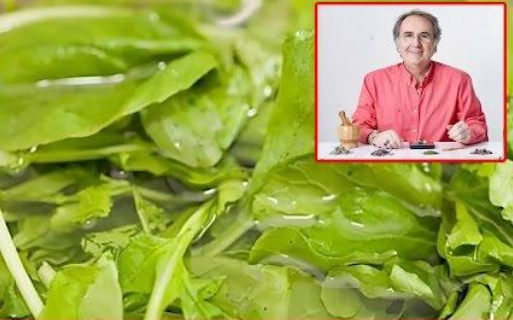 BALGAM VE ÖKSÜRÜĞE İYİ GELİYOR