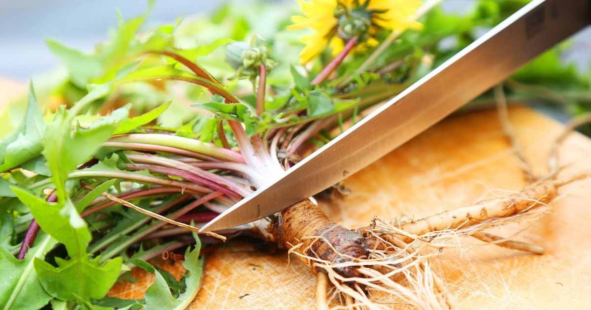 Bu bitki kemoterapiden 100 kat daha etkili