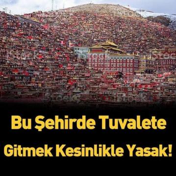 Burada tuvalet yasak