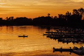 Büyükannem her zaman soğanın içine karanfil sokar