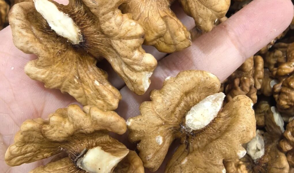 Doktorlar ceviz yemenin