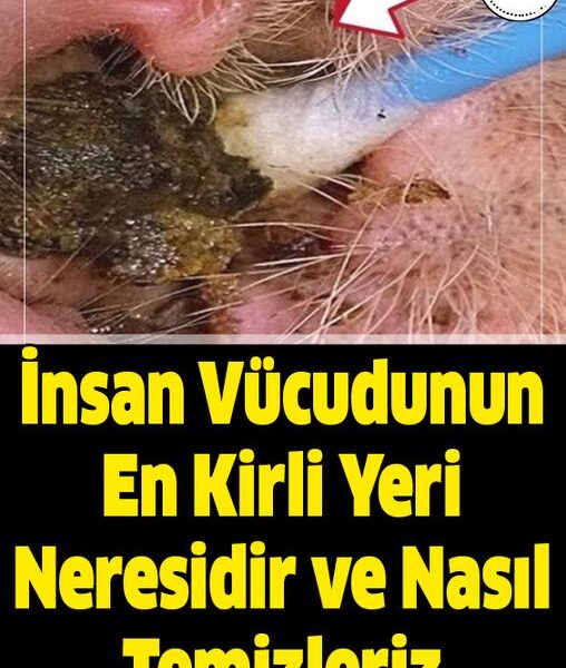 İnsan Vücudunun En Kirli Yeri