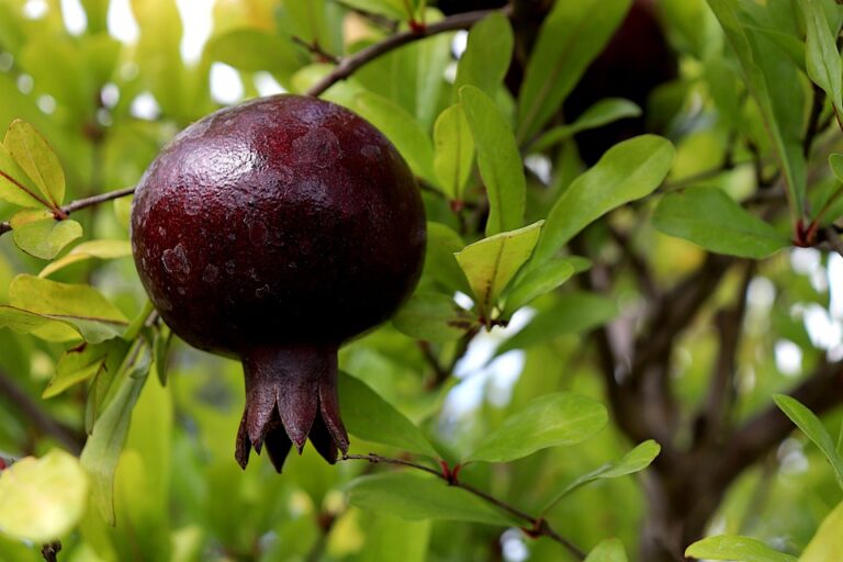 Tüyler Ürperten Detay