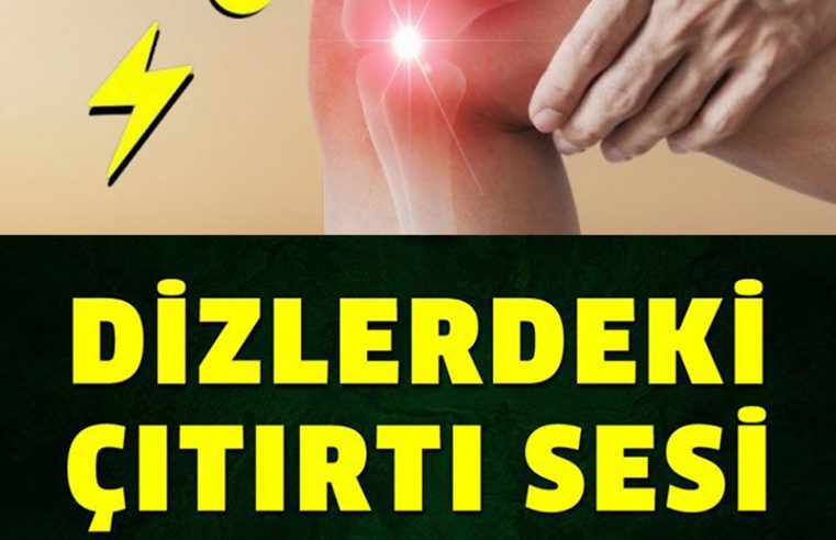 Bunu Okuduktan Sonra Bir Daha Asla Yumurta Kabuklarını Atmayın