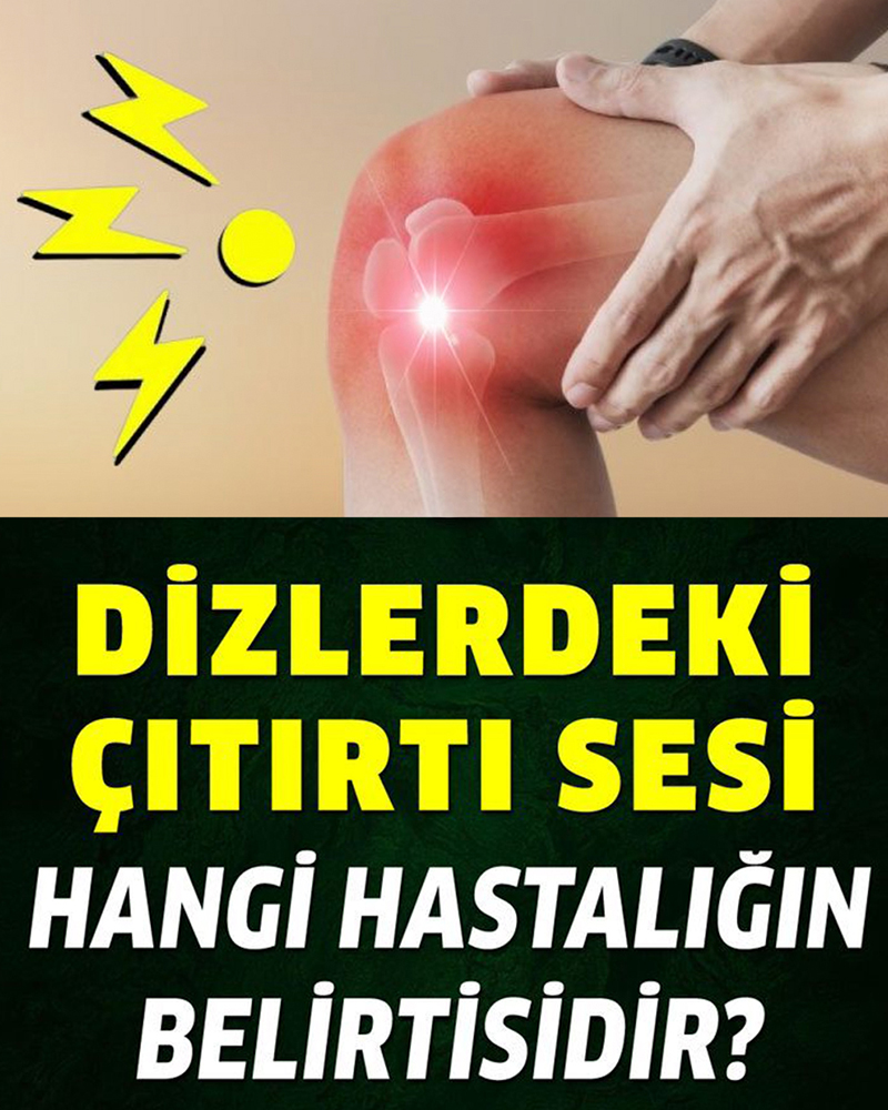 Bunu Okuduktan Sonra Bir Daha Asla Yumurta Kabuklarını Atmayın