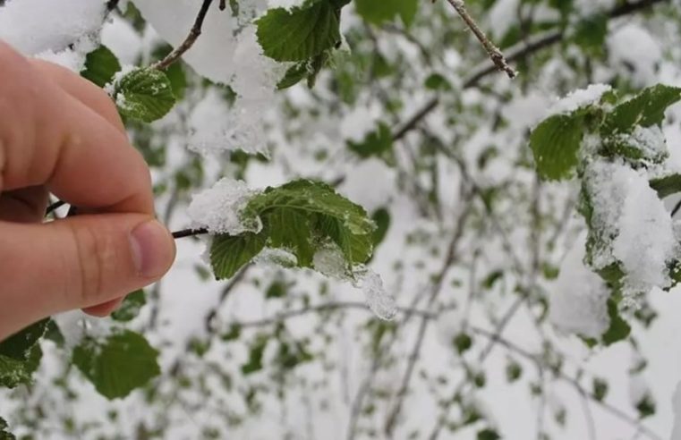 Uzmanlardan Korkutan Uyarı