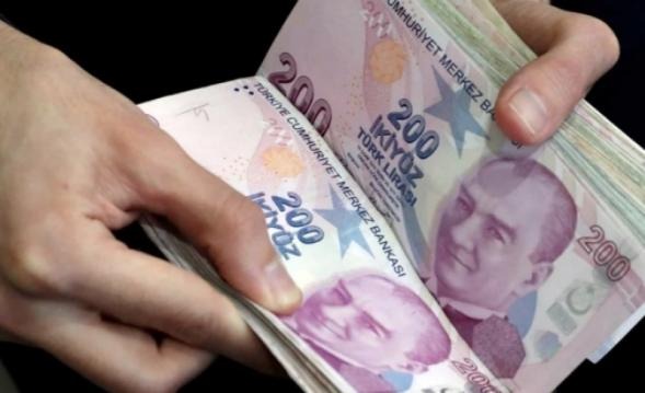 Sevgi Çınarı Herkese Açık ile paylaşılıyor
