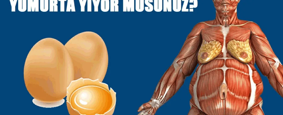 Doktorlar sabahları yumurta yemenin neden olduğunu açıkladı.
