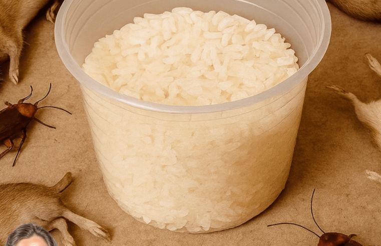 Tek bir basit malzeme yeterli; tahtakurusu