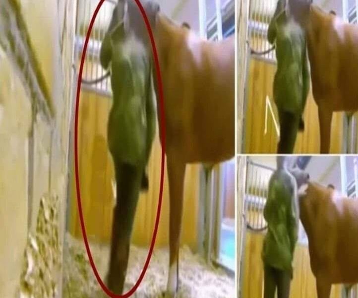 İşte O Görüntüler