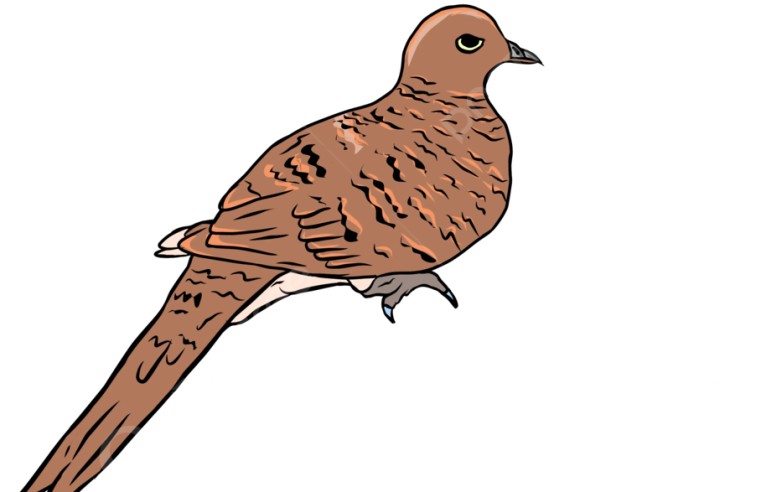 Ba’kın ne anlama geliyormuş.