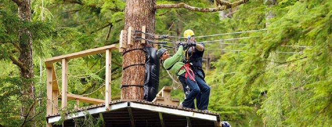 Bir adam geyik avlamak için ormana geldi,