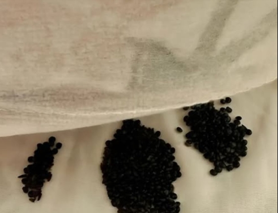 Yatağımın altında bunu buldum