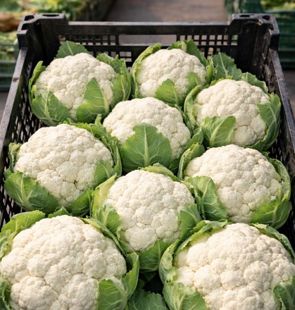 Doktorlar Karnabaharın Sebeplerini Açıkladı