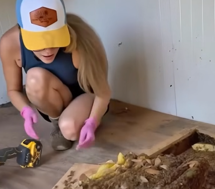 Bu evi yeni aldığımızdan beri