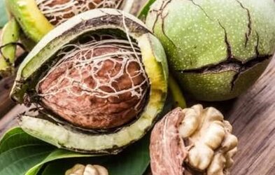 KALBE FAYDALI DİYE HERKES AVUÇ AVUÇ YİYOR