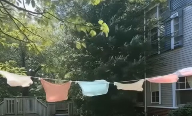 Oğlumun Penceresinin Hemen Önü