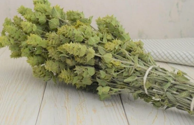 Hafızayı Güçlendiriyor