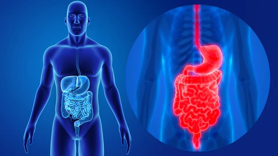 Doktorlar sabahları haşlanmış yumurta
