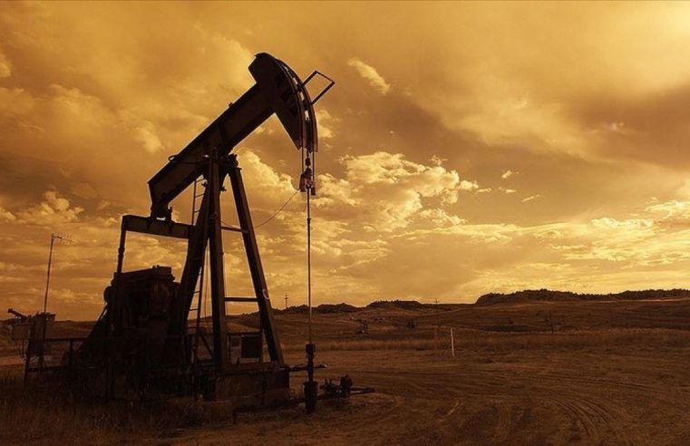 Türkiye’de Büyük Panik