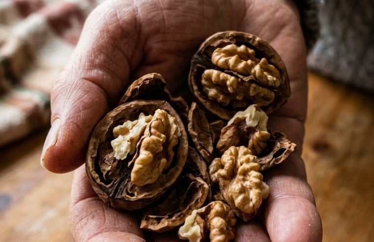 Doktorlar ceviz yemenin neden olduğunu açıkladı