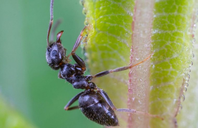 HANENİZE GELEN 7 MANEVİ MESAJ