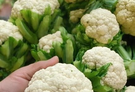 Doktorlar Karnabaharın Sebeplerini Açıkladı…